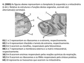 4. (2005) As figuras abaixo representam o cloroplasto (à esquerda) e a mitocôndria
(à dir.). Relativo às estruturas e funções destas organelas, assinale a(s)
alternativa(s) correta(s).
01) 1 e 2 representam os ribossomos e o estroma, respectivamente.
02) 3 e 4 representam tilacóide e lamela do estroma, respectivamente.
04) Em 5 ocorrem as clorofilas, responsáveis pela fotossíntese.
08) 6 e 7 representam a membrana externa e a matriz mitocondrial,
respectivamente.
16) Em 8 ocorrem enzimas responsáveis pelas reações químicas da respiração.
32) Em 9 ocorrem os ribossomos e os RNAs responsáveis pela síntese protéica.
64) 10 representa os lisossomos que ocorrem na mitocôndria.
 