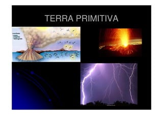 TERRA PRIMITIVA

 
