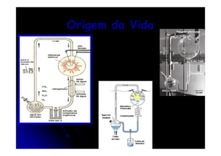 Origem da Vida

 