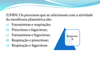 (UFRN) Os processos que se relacionam com a atividade
da membrana plasmática são:
a) Fotossíntese e respiração;
b) Pinocitose e fagocitose;
c) Fotossíntese e fagocitose;        Resposta:
d) Respiração e pinocitose;             B

e) Respiração e fagocitose.
 