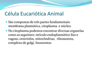 Célula Eucariótica Animal
 São compostas de três partes fundamentais:
  membrana plasmática, citoplasma e núcleo.
 No citoplasma podemos encontrar diversas organelas
  como as seguintes: reticulo endoplasmático liso e
  rugoso, centríolos, mitocôndrias, ribossomos,
  complexo de golgi, lisossomos.
 