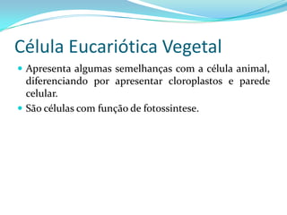 Célula Eucariótica Vegetal
 Apresenta algumas semelhanças com a célula animal,
  diferenciando por apresentar cloroplastos e parede
  celular.
 São células com função de fotossintese.
 