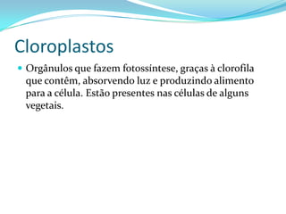 Cloroplastos
 Orgânulos que fazem fotossíntese, graças à clorofila
 que contêm, absorvendo luz e produzindo alimento
 para a célula. Estão presentes nas células de alguns
 vegetais.
 