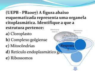 (UEPB - PB2007) A figura abaixo
esquematizada representa uma organela
citoplasmática. Identifique a que a
estrutura pertence:
a) Cloroplasto
b) Complexo golgiense
c) Mitocôndrias              Resposta:
                                A
d) Retículo endoplasmático granuloso
e) Ribossomos
 