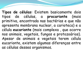 Tipos de células: Existem basicamente dois
tipos de células, a procarionte (mais
primitiva, encontrada nas bactérias e que não
apresenta membrana nuclear, a carioteca) e a
célula eucarionte (mais complexa , que ocorre
nos animais, vegetais, fungos e protozoários).
Apesar de animais e vegetais terem célula
eucarionte, existem algumas diferenças entre
as células desses organismos.
 