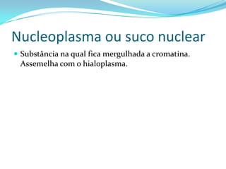 Nucleoplasma ou suco nuclear
 Substância na qual fica mergulhada a cromatina.
 Assemelha com o hialoplasma.
 