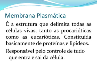 Membrana Plasmática
É a estrutura que delimita todas as
células vivas, tanto as procarióticas
como as eucarióticas. Constituída
basicamente de proteínas e lipídeos.
Responsável pelo controle de tudo
 que entra e sai da célula.
 
