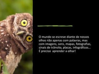 O mundo se escreve diante de nossos
olhos não apenas com palavras, mas
com imagens, sons, mapas, fotografias,
sinais de trânsito, placas, infográficos…
É preciso aprender a olhar!
 