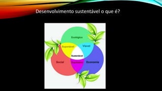 Desenvolvimento sustentável o que é?
 