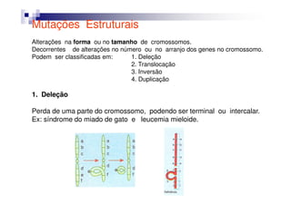 Mutações Estruturais
Alterações na forma ou no tamanho de cromossomos.
Decorrentes de alterações no número ou no arranjo dos genes no cromossomo.
Podem ser classificadas em:     1. Deleção
                                2. Translocação
                                3. Inversão
                                4. Duplicação

1. Deleção

Perda de uma parte do cromossomo, podendo ser terminal ou intercalar.
Ex: síndrome do miado de gato e leucemia mieloide.
 