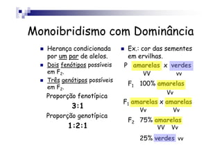 Monoibridismo com Dominância
   Herança condicionada        Ex.: cor das sementes
   por um par de alelos.       em ervilhas.
   Dois fenótipos possíveis   P amarelas x verdes
   em F2.                           VV             vv
   Três genótipos possíveis
                               F1 100% amarelas
   em F2.
                                              Vv
   Proporção fenotípica
                              F1 amarelas x amarelas
           3:1                     Vv          Vv
   Proporção genotípica
                               F2 75% amarelas
          1:2:1                          VV    Vv
                                   25% verdes vv
 