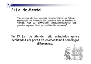 2a Lei de Mendel
    “Na herança de duas ou mais características, os fatores,
    segregados na formação dos gametas, não se fundem no
    híbrido, mas se distribuem independentemente nos
    gametas segundo todas as combinações possíveis”.




Na 2a Lei de Mendel, são estudados genes
localizados em pares de cromossomos homólogos
                  diferentes.
 
