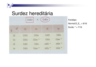 Surdez hereditária
                     Fenótipo:
                     Normal:D_E_ = 9/16
                     Surdo: * = 7/16
 