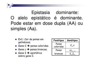 Epistasia dominante:
O alelo epistático é dominante.
Pode estar em dose dupla (AA) ou
simples (Aa).

   Ex1.: Cor da penas em         Fenótipos   Genótipos
   galináceos.
                                   Penas
   Gene C     penas coloridas.                 C_ii
                                 coloridas
   Gene c     penas brancas.      Penas       cc_ _
   Gene I     epistático         brancas       C_I_
   sobre gene C.
 