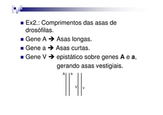 Ex2.: Comprimentos das asas de
drosófilas.
Gene A      Asas longas.
Gene a      Asas curtas.
Gene V      epistático sobre genes A e a,
            gerando asas vestigiais.
             A   a


                     V   v
 