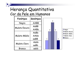 Herança Quantitativa
Cor da Pele em Humanos
    Fenótipos     Genótipos
                                      3

      Negro        AABB
                   AaBB
  Mulato Escuro
                   AABb           2       2       Negro
                                                  Mulato Escuro
                   AaBb                           Mulato Médio

  Mulato Médio     AAbb                           Mulato Claro
                                                  Branco
                   aaBB       1               1


                    Aabb
   Mulato Claro
                    aaBb
     Branco         aabb
 