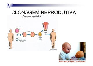 CLONAGEM REPRODUTIVA
 