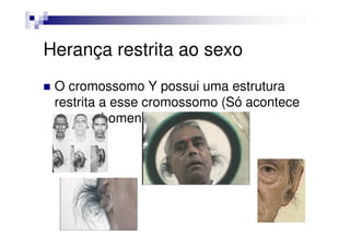 Herança restrita ao sexo
 O cromossomo Y possui uma estrutura
 restrita a esse cromossomo (Só acontece
 com os homens)
 