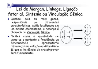 Lei de Morgan, Linkage, Ligação
fatorial, Sintenia ou Vinculação Gênica.
 Quando dois ou mais genes,
 responsáveis      por      diferentes
 características, estão localizados em
 um mesmo cromossomo, a herança é
 chamada de Vinculação Gênica.
 Nestes casos a quantidade de
 gametas e portanto a freqüência da
 descendência             apresentarão
 diferenças em relação ao diibridismo
 já que a incidência do crossing-over
 será fundamental.
 