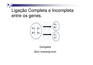 Ligação Completa e Incompleta
entre os genes.




              Completa
          Sem crossing-over
 
