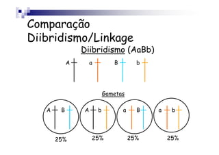 Comparação
Diibridismo/Linkage
                Diibridismo (AaBb)
            A       a          B         b




                            Gametas

   A    B       A       b          a     B   a    b




       25%          25%                25%       25%
 