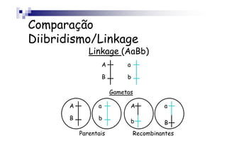 Comparação
Diibridismo/Linkage
              Linkage (AaBb)
                     A        a

                     B        b

                         Gametas

       A         a                A         a

       B         b
                                  b         B
           Parentais              Recombinantes
 