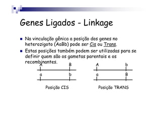 Genes Ligados - Linkage
 Na vinculação gênica a posição dos genes no
 heterozigoto (AaBb) pode ser Cis ou Trans.
 Estas posições também podem ser utilizadas para se
 definir quem são os gametas parentais e os
 recombinantes.
       A                 B      A              b

       a                 b      a              B


           Posição CIS              Posição TRANS
 