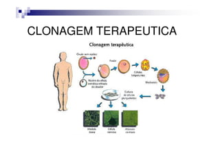 CLONAGEM TERAPEUTICA
 