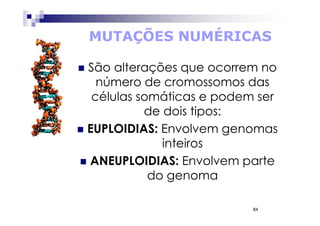 MUTAÇÕES NUMÉRICAS

São alterações que ocorrem no
  número de cromossomos das
 células somáticas e podem ser
          de dois tipos:
EUPLOIDIAS: Envolvem genomas
             inteiros
ANEUPLOIDIAS: Envolvem parte
           do genoma

                          84
 