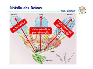 Aulão 2° ano - Ensino Médio