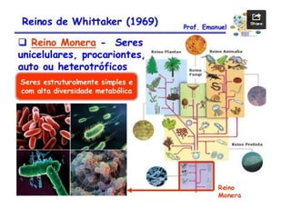 Aulão 2° ano - Ensino Médio
