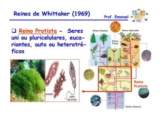 Aulão 2° ano - Ensino Médio