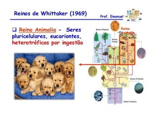 Aulão 2° ano - Ensino Médio
