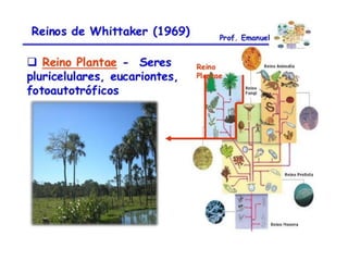 Aulão 2° ano - Ensino Médio