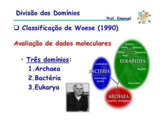 Aulão 2° ano - Ensino Médio