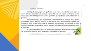 3
O DISFARCE DOS BICHOS
 