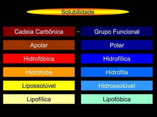 Solubilidade
Cadeia Carbônica Grupo Funcional–
Apolar
Hidrofóbica
Hidrófoba
Lipossolúvel
Lipofílica
Polar
Hidrofílica
Hidrófila
Hidrossolúvel
Lipofóbica
 