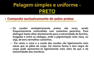 Os cavalos verdadeiramente pretos são raros, sendo 
frequentemente confundidos com castanhos pezenhos. Para 
distinguir basta olhar atentamente para a extremidade do focinho, 
bragadas e entre as nádegas, onde a pigmentação mais clara, ou 
seja, de tons vermelhos-castanhos. 
Por vezes a crina e a cauda dos cavalos são ligeiramente mais 
claras que os pêlos do corpo. Da mesma forma o tom negro do 
corpo pode apresentar-se ligeiramente mais claro do que o da 
extremidades dos membros. 
 