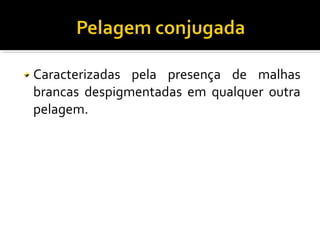 Caracterizadas pela presença de malhas 
brancas despigmentadas em qualquer outra 
pelagem. 
 