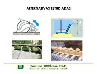 ALTERNATIVAS ESTUDIADAS 
 