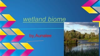 wetland biome
by,Aunalee
 