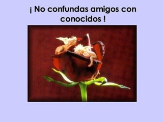 ¡ No confundas amigos con conocidos ! 
