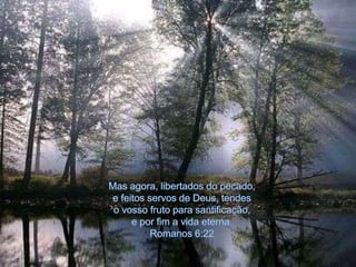 Mas agora, libertados do pecado, e feitos servos de Deus, tendes o vosso fruto para santificação, e por fim a vida eterna. Romanos 6:22                                                        