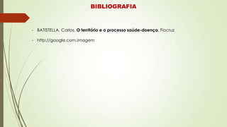 BIBLIOGRAFIA
- BATISTELLA, Carlos, O território e o processo saúde-doença, Fiocruz
- http://google.com.imagem
 