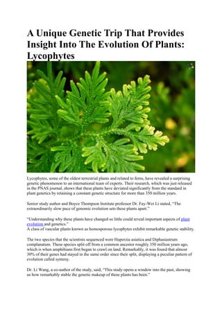 A Unique Genetic Trip That Provides
Insight Into The Evolution Of Plants:
Lycophytes
Lycophytes, some of the oldest terrestrial plants and related to ferns, have revealed a surprising
genetic phenomenon to an international team of experts. Their research, which was just released
in the PNAS journal, shows that these plants have deviated significantly from the standard in
plant genetics by retaining a constant genetic structure for more than 350 million years.
Senior study author and Boyce Thompson Institute professor Dr. Fay-Wei Li stated, “The
extraordinarily slow pace of genomic evolution sets these plants apart.”
“Understanding why these plants have changed so little could reveal important aspects of plant
evolution and genetics.”
A class of vascular plants known as homosporous lycophytes exhibit remarkable genetic stability.
The two species that the scientists sequenced were Huperzia asiatica and Diphasiastrum
complanatum. These species split off from a common ancestor roughly 350 million years ago,
which is when amphibians first began to crawl on land. Remarkably, it was found that almost
30% of their genes had stayed in the same order since their split, displaying a peculiar pattern of
evolution called synteny.
Dr. Li Wang, a co-author of the study, said, “This study opens a window into the past, showing
us how remarkably stable the genetic makeup of these plants has been.”
 