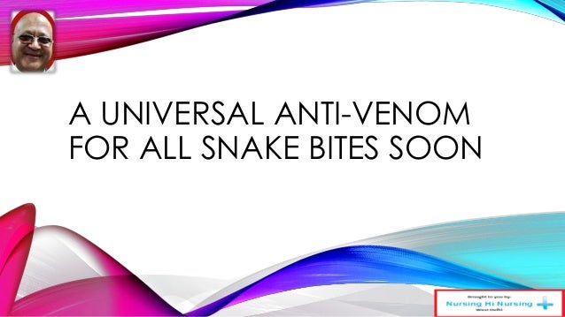 A universal anti venom for all snake bites soon