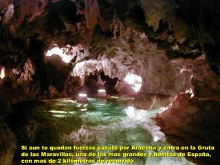 Si aun te quedan fuerzas pásate por Aracena y entra en la Gruta de las Maravillas, una de las mas grandes y bonitas de España, con mas de 2 kilómetros de recorrido 