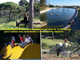 Aunque en el parque Moret dispones de mas de 72 hectáreas para realizar mas actividades o simplemente relajarte. 