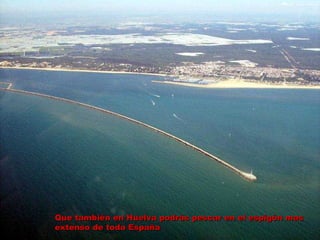 Que también en Huelva podrás pescar en el espigón mas extenso de toda España 