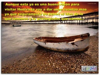 Aunque esta ya es una buena razón para visitar Huelva te voy a dar unas cuantas mas ya que seguramente no tienes ni idea de lo que tenemos y lo privilegiados que somos… 